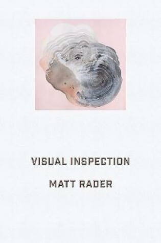 Cover of Visual Inspection