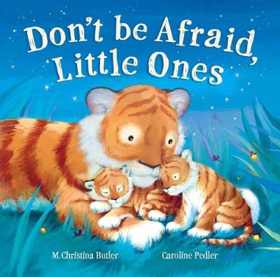 Book cover for Don't Be Afraid Little Ones - Choice Edition