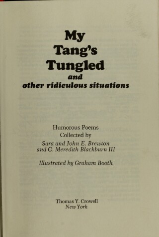 Book cover for My Tang's Tungled