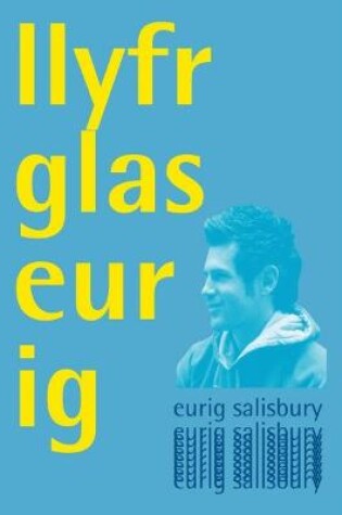 Cover of Llyfr Glas Eurig