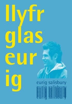 Book cover for Llyfr Glas Eurig