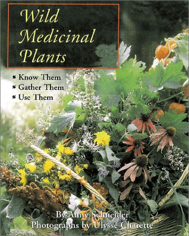 Book cover for Wild Medicinal Plants