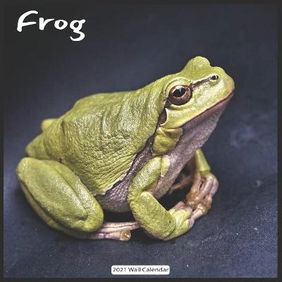 Book cover for Frog 2021 Wall Calendar