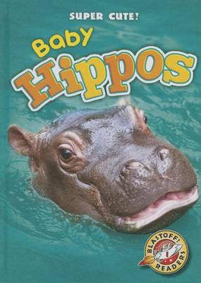 Book cover for Baby Hippos