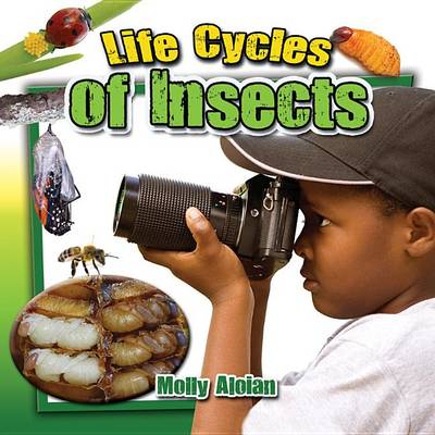 Book cover for Life Cycles of Insects