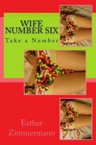 Cover of Wife Number Six