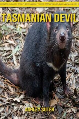 Cover of Tasmanian Devil