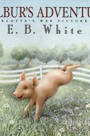 Cover of Wilbur's Adventure
