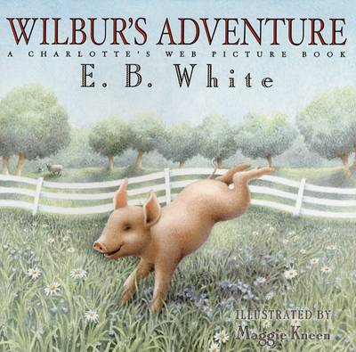 Cover of Wilbur's Adventure