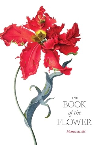 Cover of The Book of the Flower