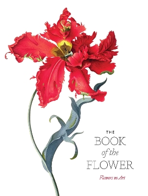 Book cover for The Book of the Flower