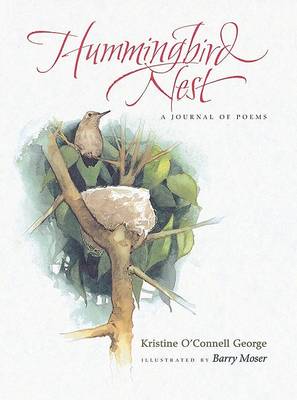Book cover for Hummingbird Nest