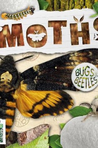 Cover of Moths