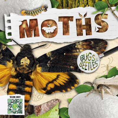 Cover of Moths