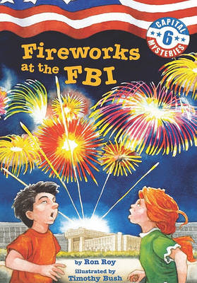 Book cover for Fireworks at the FBI