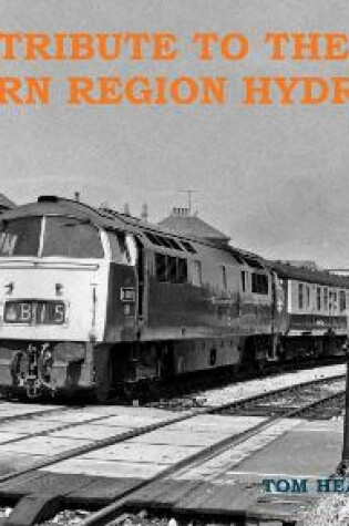 Cover of Tribute to the Western Region Hydraulics