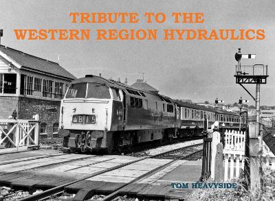 Book cover for Tribute to the Western Region Hydraulics