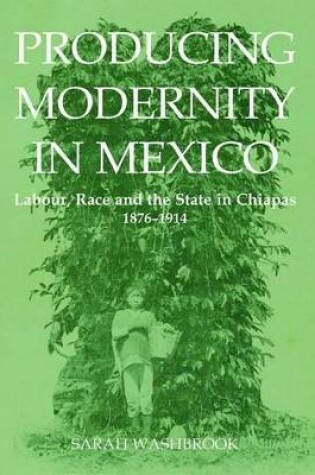 Cover of Producing Modernity in Mexico