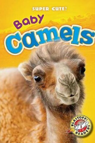 Cover of Baby Camels