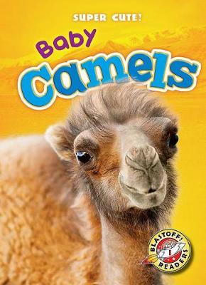 Book cover for Baby Camels