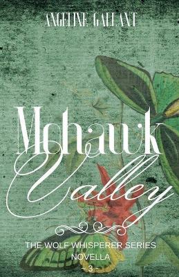 Book cover for Mohawk Valley