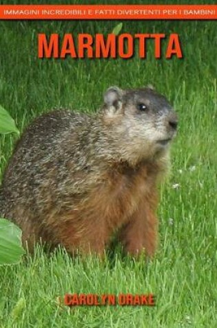 Cover of Marmotta