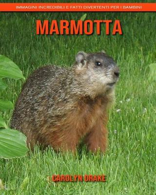 Book cover for Marmotta