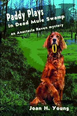 Book cover for Paddy Plays in Dead Mule Swamp