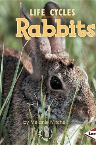 Cover of Rabbits