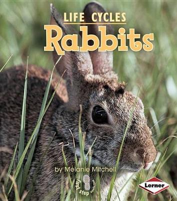 Cover of Rabbits