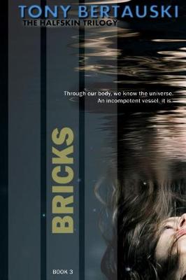 Book cover for Bricks