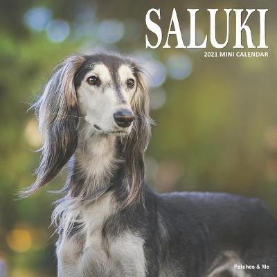 Book cover for Saluki