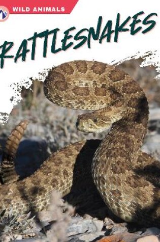 Cover of Rattlesnakes