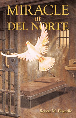 Book cover for Miracle at del Norte