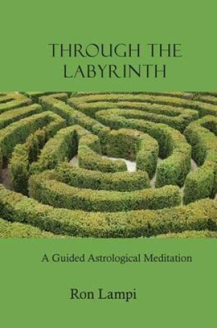 Cover of Through the Labyrinth