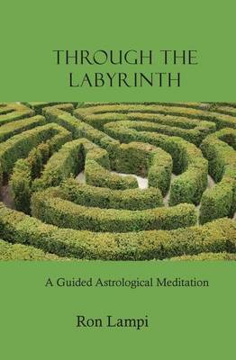 Book cover for Through the Labyrinth