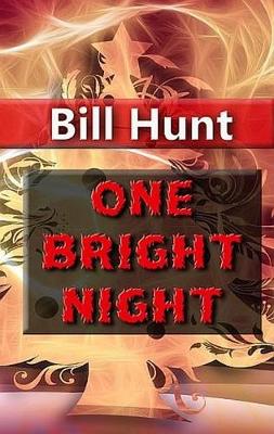 Book cover for One Bright Night