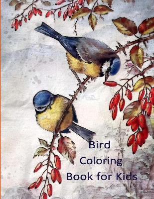 Book cover for Bird Coloring Book for Kids