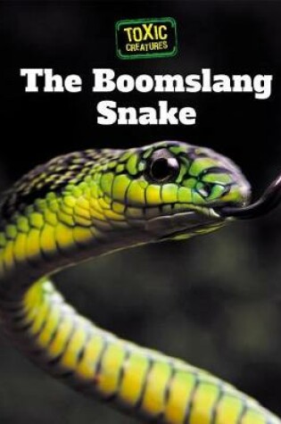 Cover of The Boomslang Snake