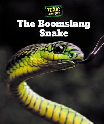 Cover of The Boomslang Snake