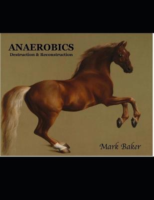 Book cover for Anaerobics