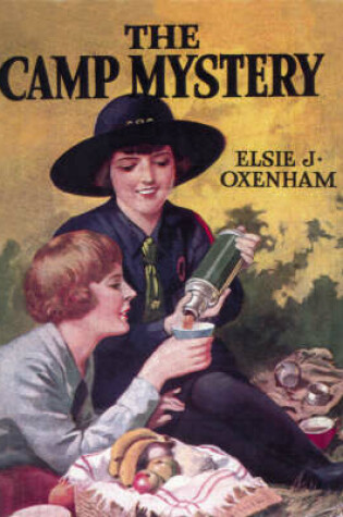Cover of The Camp Mystery