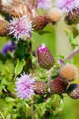 Cover of Blooming Thistle, for the Love of Flowers