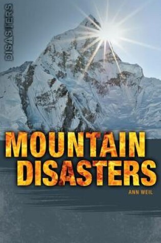 Cover of Mountain Disasters
