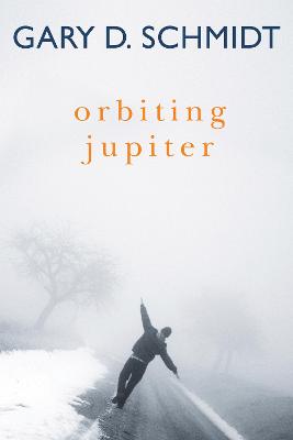 Book cover for Orbiting Jupiter