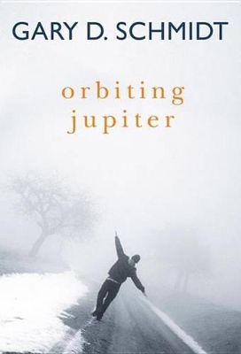Book cover for Orbiting Jupiter