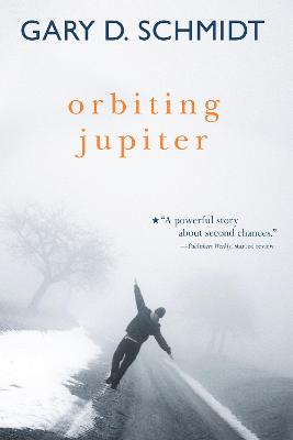 Book cover for Orbiting Jupiter