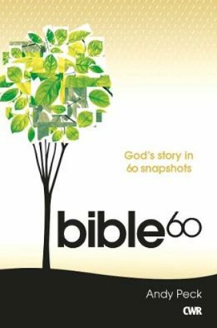 Cover of Bible 60