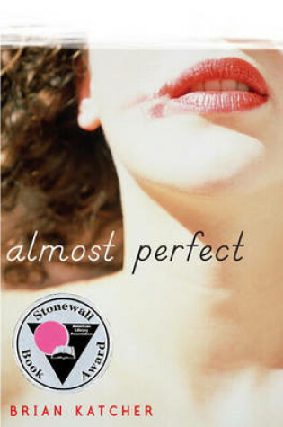 Cover of Almost Perfect