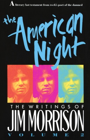 Book cover for The American Night